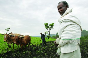 small farmers