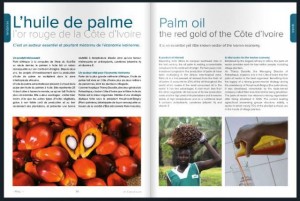 Pages intérieurs MAgazine Air Ivoire