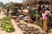 Marché vivrier aux abords d'une route en Côte d'Ivoire.