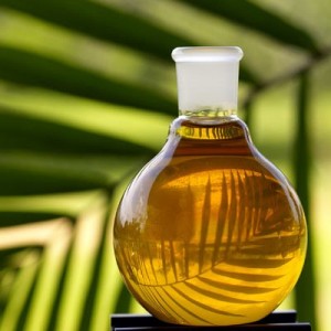 L'huile de palme, très riche en nutriments pour le corps.