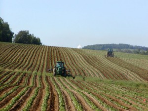 Engagements et actions en faveur de l'agriculture. Photo: wikipedia.org