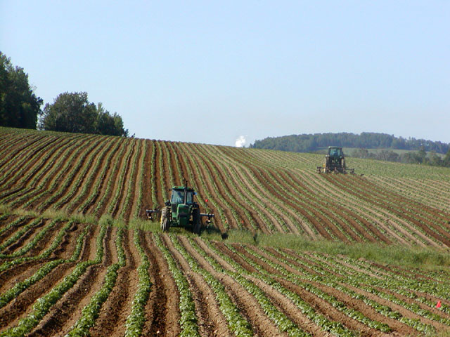 L'agriculture au cœur des préoccupations. / Photo : wikipedia.org