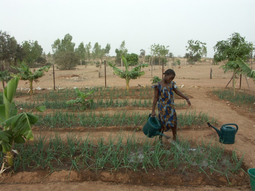 Sensibiliser pour une agriculture durable pour tous. Photo: wikipedia.org