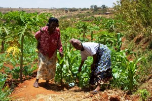 En Afrique, comme partout dans le monde, les paysans ont célébré leurs luttes, ce 17 avril. Photo: wikimedia.org