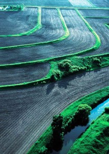 Terrasses tampons dans une plantation de l'Iowa