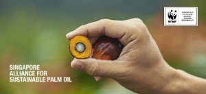 Singapour_Alliance_Sustainable_Palm_Oil