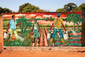 La terre n'attire plus les jeunes africains