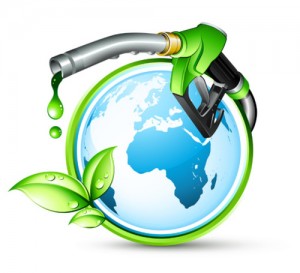 Bientôt, du biocarburant à base d'huile de palme.