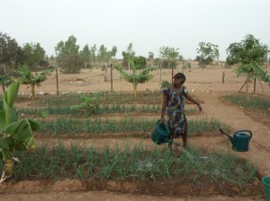 Sensibiliser pour une agriculture durable pour tous. photo: wikipedia.org